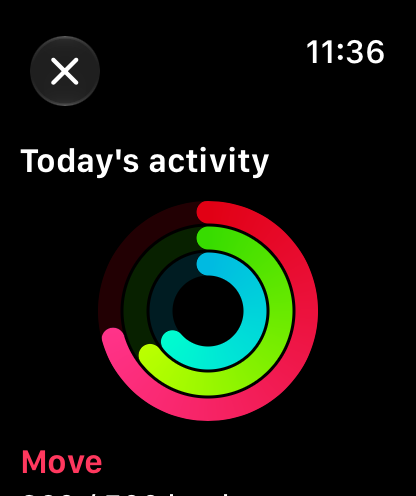 Today's activity panel showing example rings